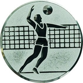a6/s-piłka siatkowa dziewcząt