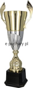 Puchar 3105