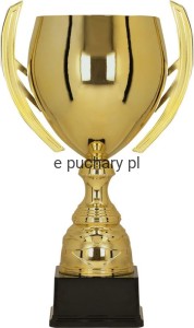 Puchar 1059