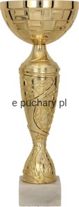 Puchar 9098