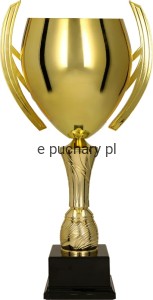 Puchar 3144