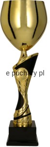 Puchar 4206