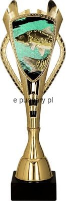 fis.jpg