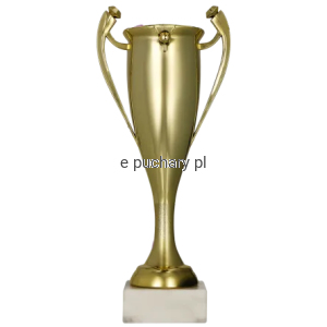 Puchar 7093