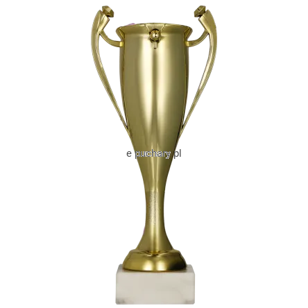 obraz_2025-01-03_113735957.png
