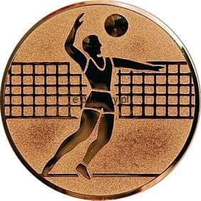 a6/b-piłka siatkowa chłopców