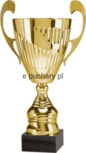 Puchar 7098