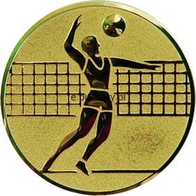 a6/g-piłka siatkowa chłopców