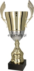 Puchar 4128