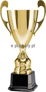 Puchar 4104